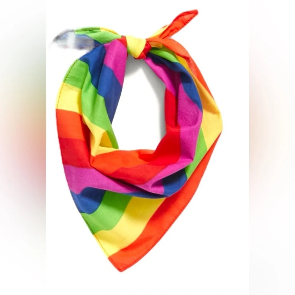 Old Navy Dog Bandana - Rainbow Stripes NWT